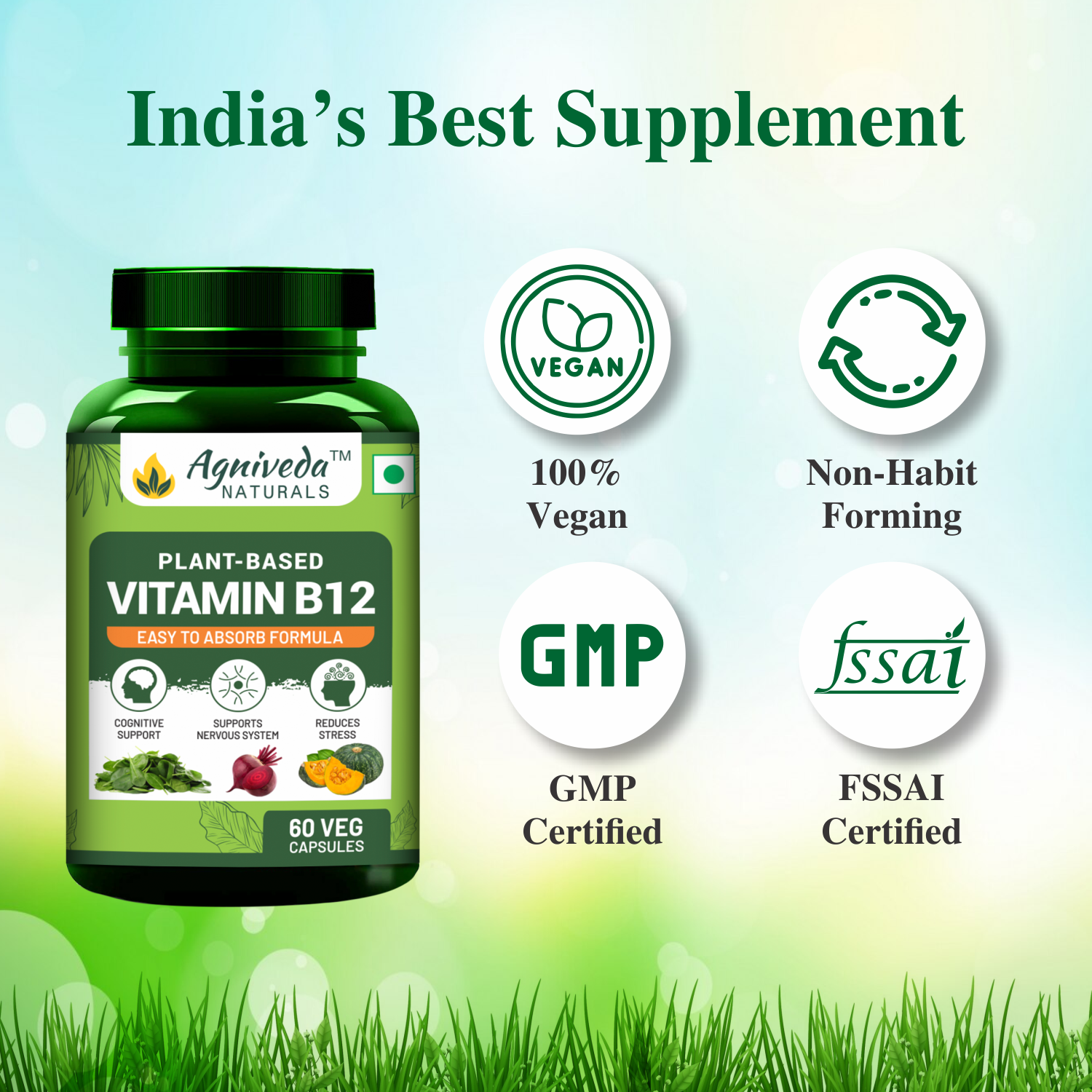 Agniveda Naturals Plant Based Vitamin B12 supplement for Men & Women (60 Capsules) | Natural Formulation for Vegetarians & Vegans to support Nervous System & Brain Function