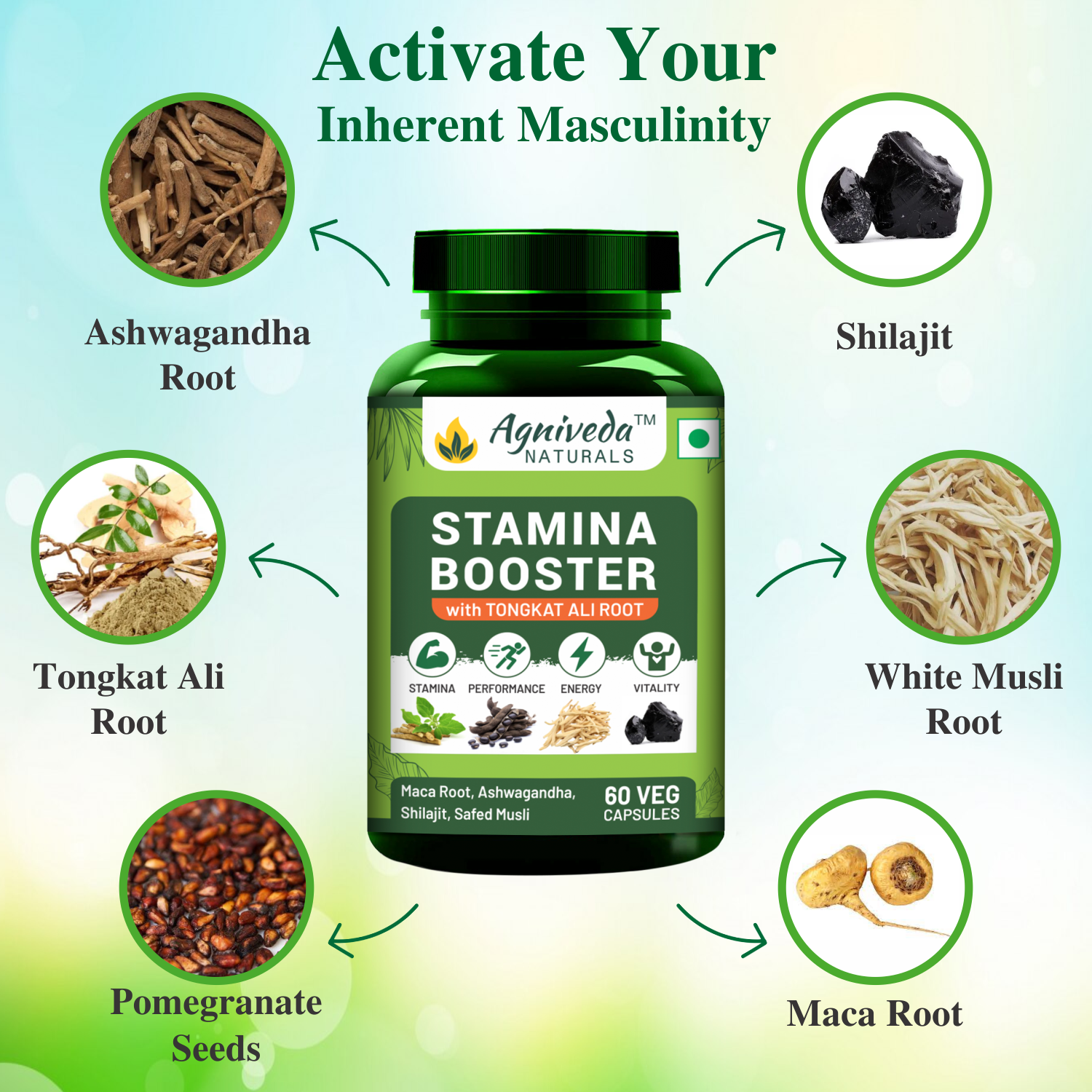 Agniveda Naturals Stamina Booster for Endurance and Strength - 60 Capsules